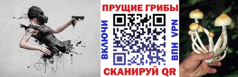 Псилоцибиновые грибы Magic Shrooms  Киров 