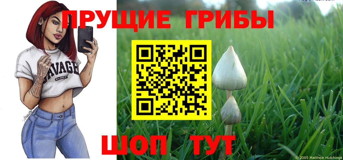 Киров  Галлюциногенные грибы MAGIC MUSHROOMS  Вход с VPN  Галлюциногенные грибы Psilocybine cubensis 